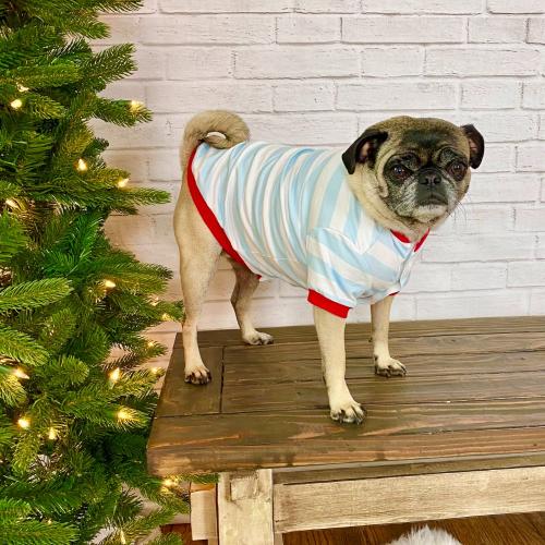 2022 Blank Christmas Pajamas - DOG